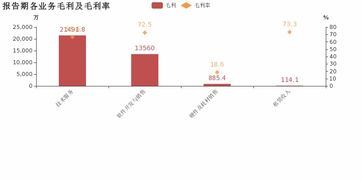 博思軟件歸母凈利潤增速56.1%創(chuàng)5年新高，技術服務業(yè)務成利潤增長核心引擎