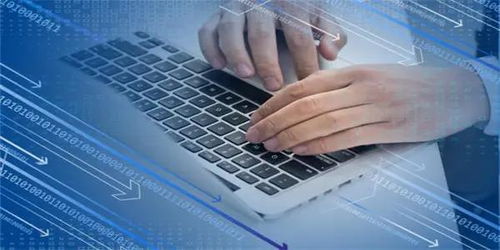 信息技術(shù)服務(wù)逆勢領(lǐng)漲，新IT持續(xù)引領(lǐng)數(shù)字化破局